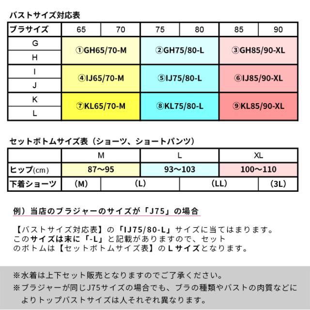 フレアビキニ 3点セット・黒