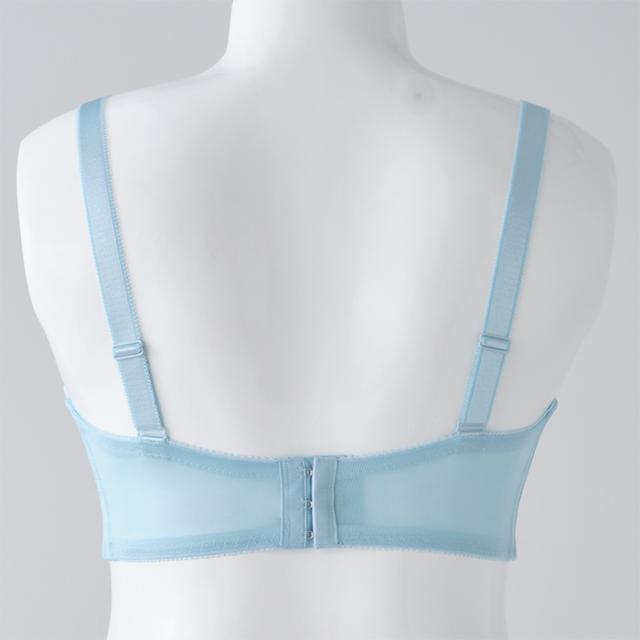 【あんなさんコラボ】ルピナスブラ