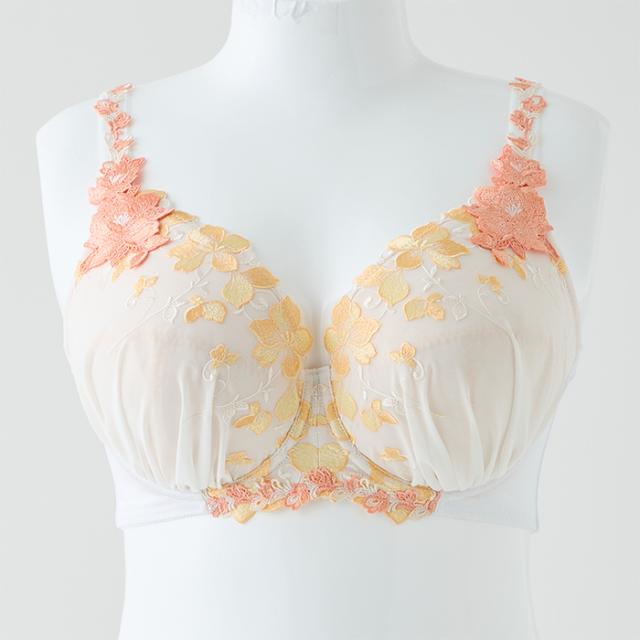 アルティアブラ(SP606FF)フルカップ