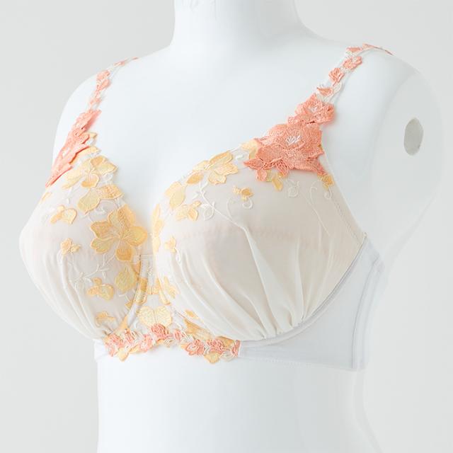 アルティアブラ(SP606FF)フルカップ