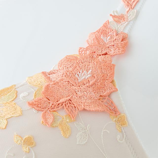 アルティアブラ(SP606FF)フルカップ