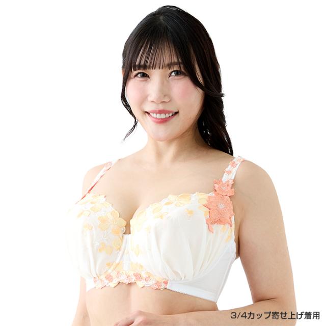 アルティアブラ(SP606DR)3/4カップ丸胸