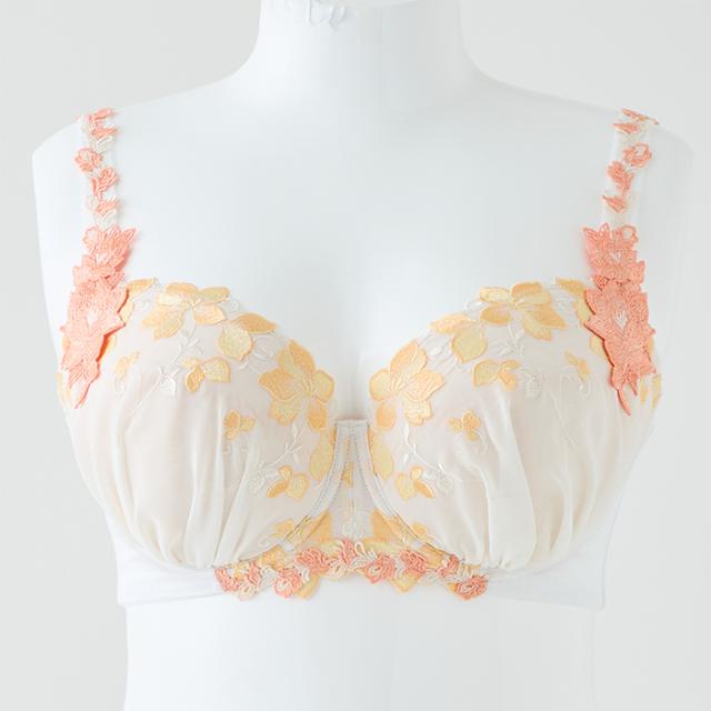 アルティアブラ(SP606DR)3/4カップ丸胸