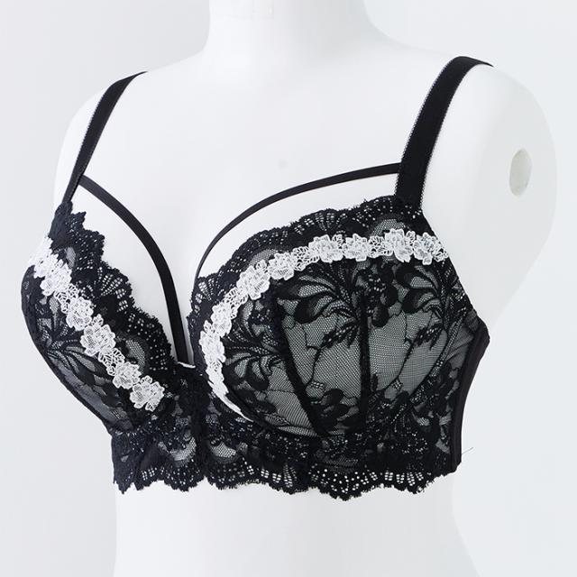 レガートブラショーツセット