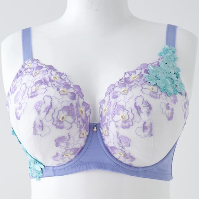 オルタンシアブラ