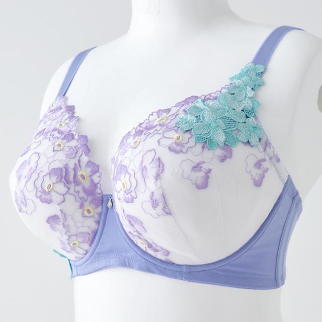 オルタンシアブラ