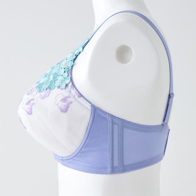 オルタンシアブラ