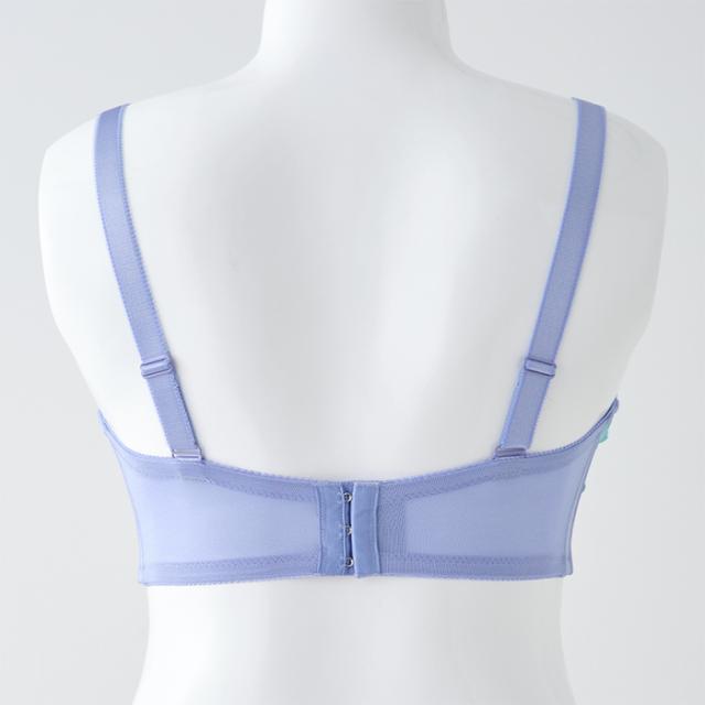 オルタンシアブラ