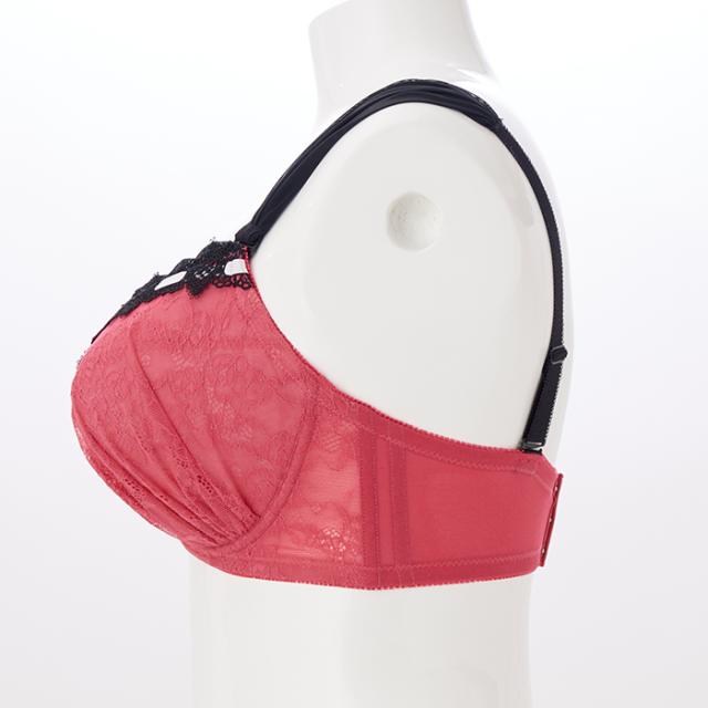 デューベリーブラ