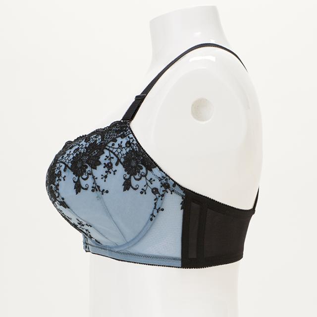 アルディートブラ