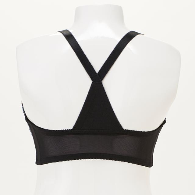 アルディートブラ