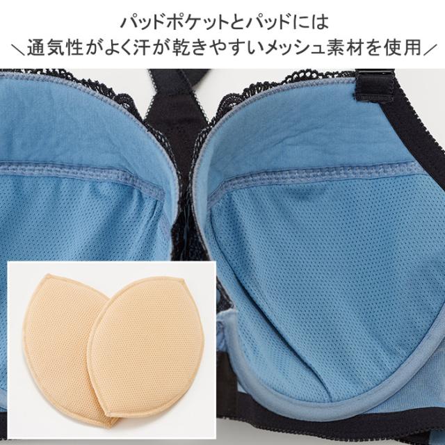 アルディートブラ