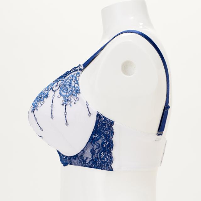 シャウエンブラ