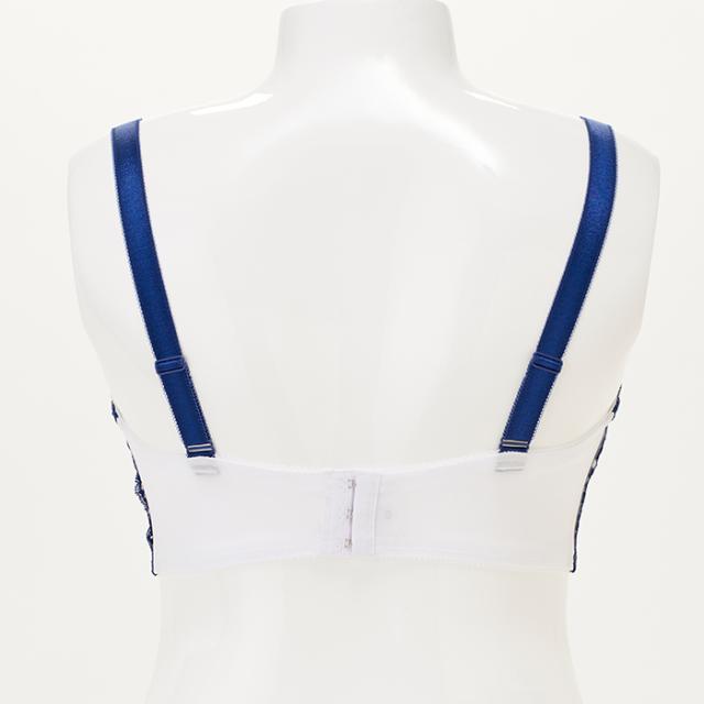 シャウエンブラ