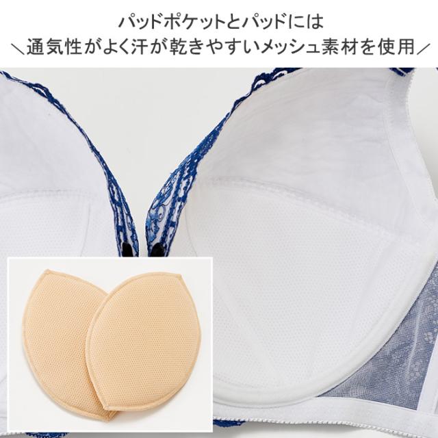 シャウエンブラ