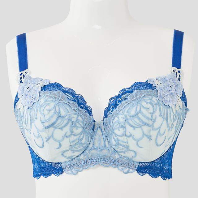 エテルブラ(SP572)