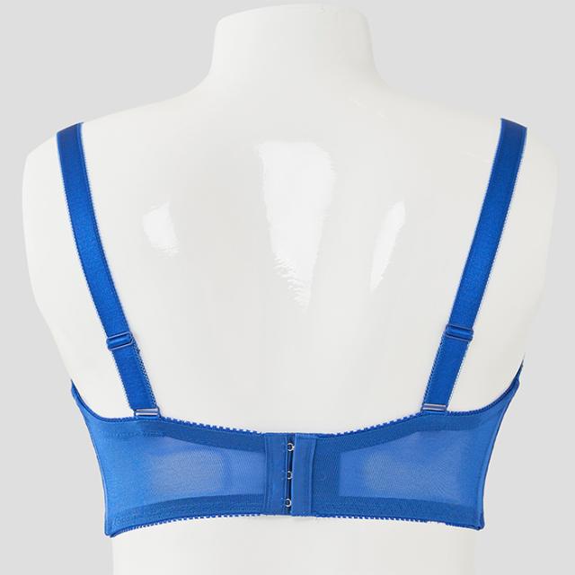 エテルブラ(SP572)