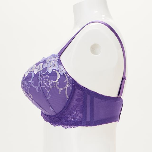 スティーミーブラ