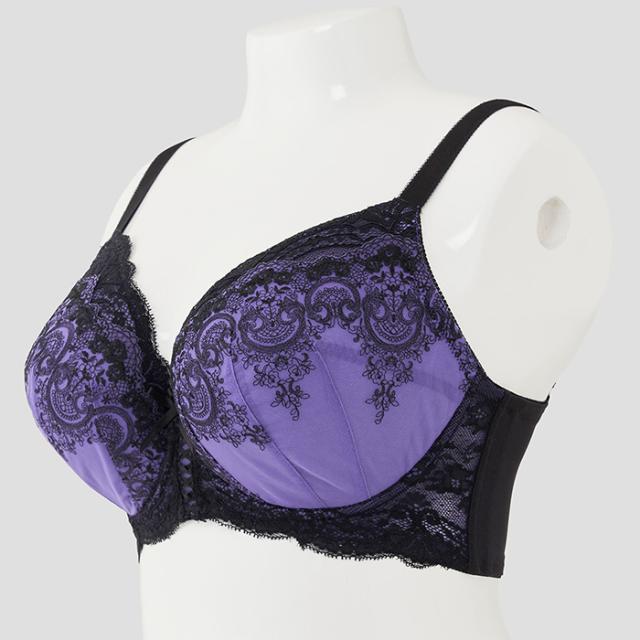 ノイモーントブラ(SP573)