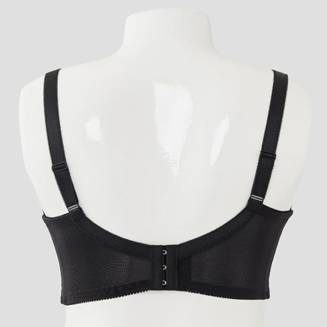 ノイモーントブラ(SP573)