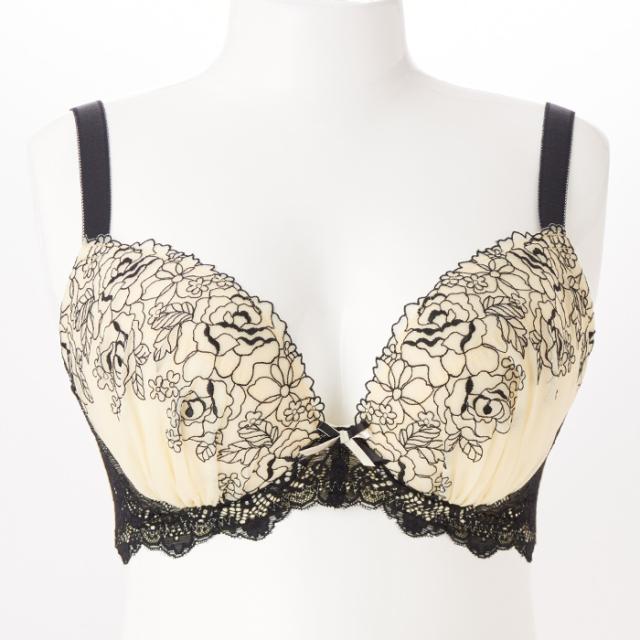 ソートフルブラ