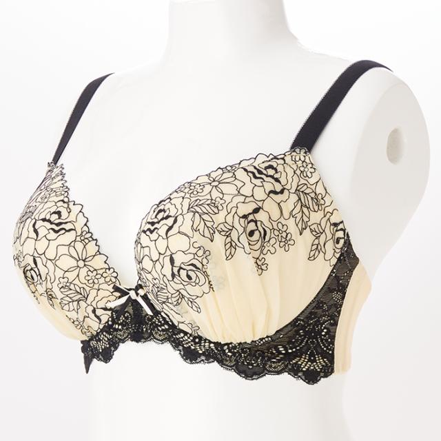 ソートフルブラ