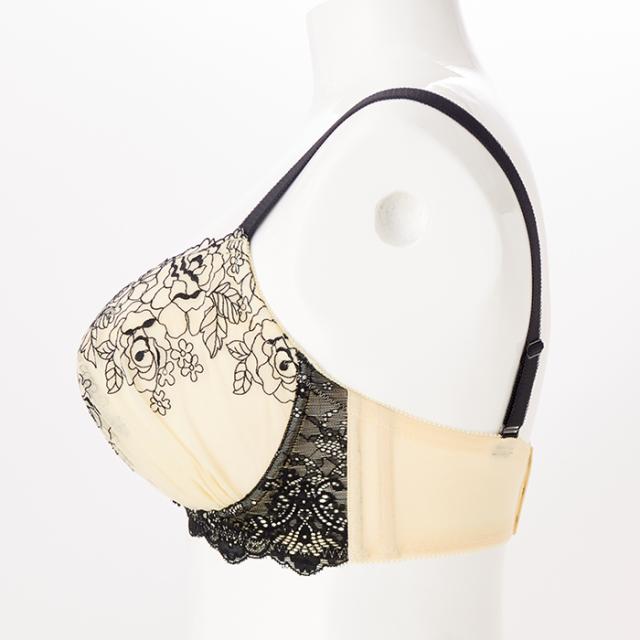 ソートフルブラ