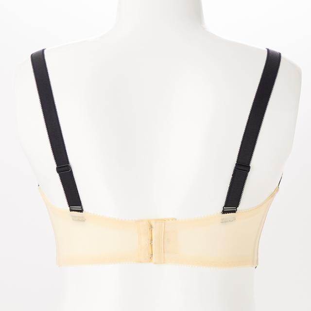 ソートフルブラ