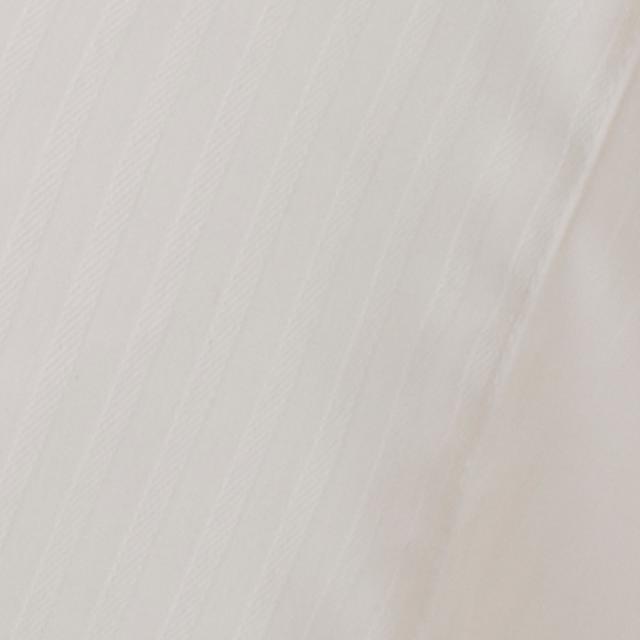 シャツVer3.5 白ドビーストライプ・スキッパー