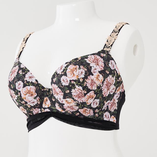 ミステールブラ