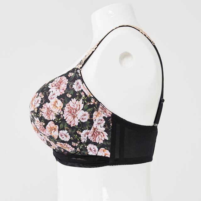 ミステールブラ