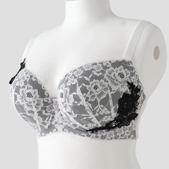 インコントロブラ(SP580)