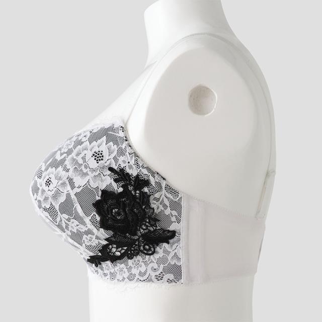 インコントロブラ(SP580)