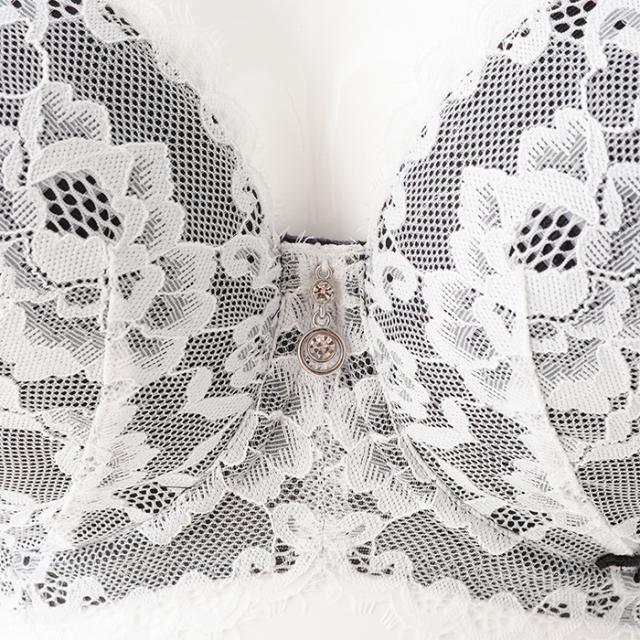 インコントロブラ(SP580)