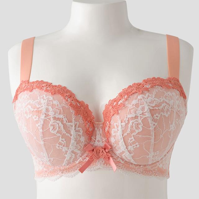 アモルブラ(SP581)