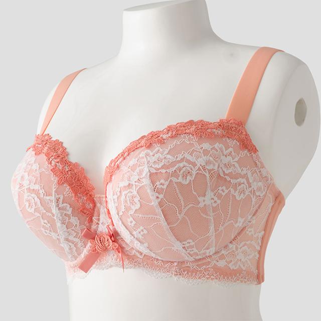 アモルブラ(SP581)