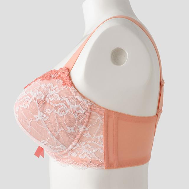 アモルブラ(SP581)