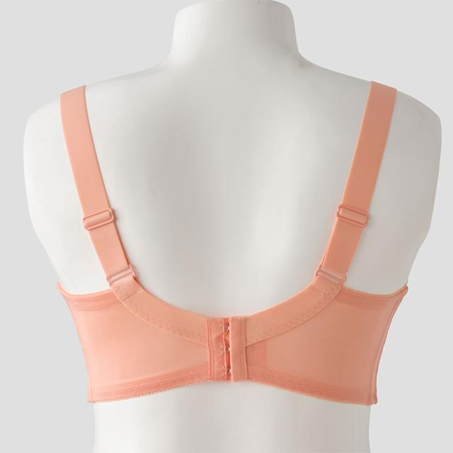 アモルブラ(SP581)