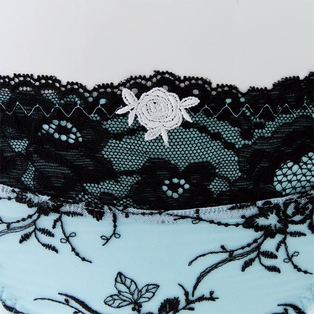 ヴィーヴァTバック