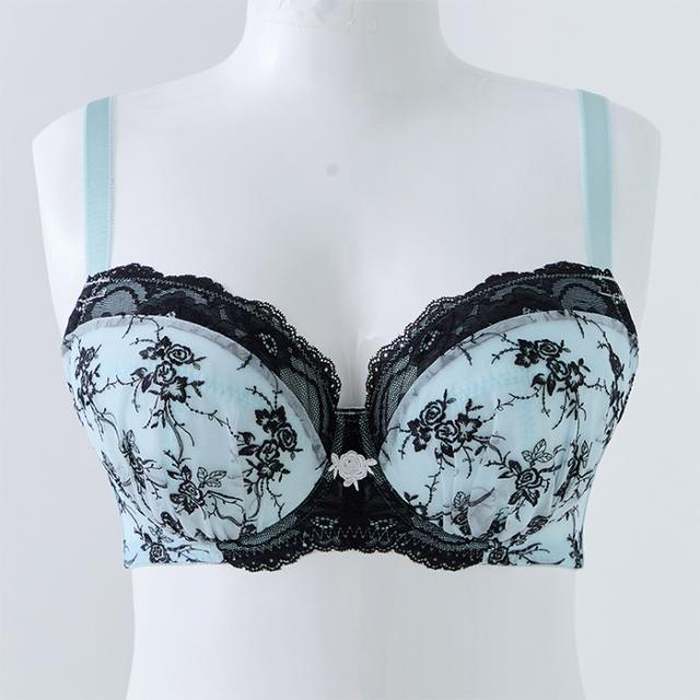 ヴィーヴァブラショーツセット