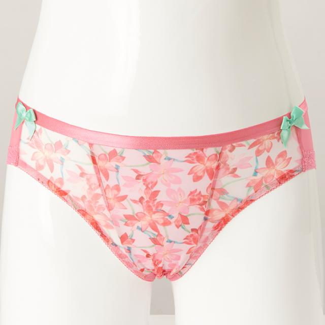 ノウムショーツ