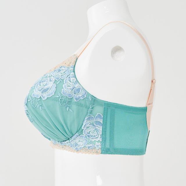 サナティオブラ