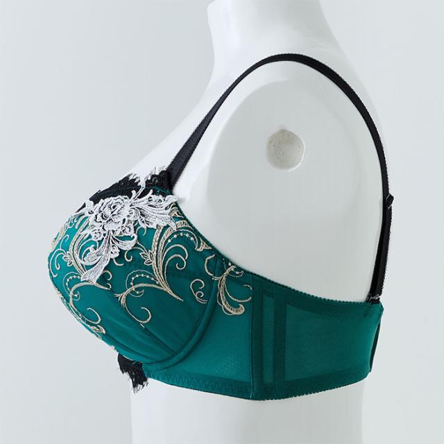 エステラブラショーツセット