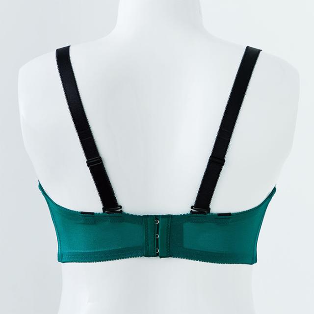 エステラブラショーツセット