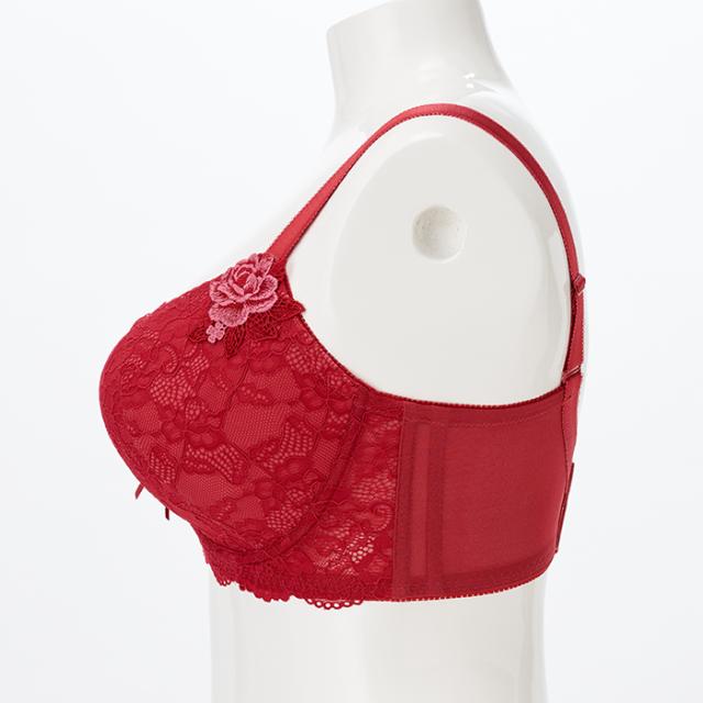 ウィールイヤーブラ