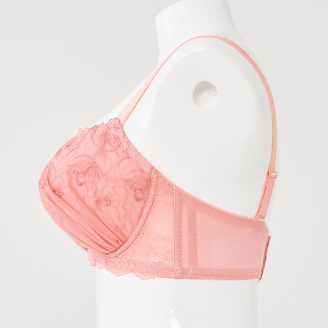 エピカリスブラ