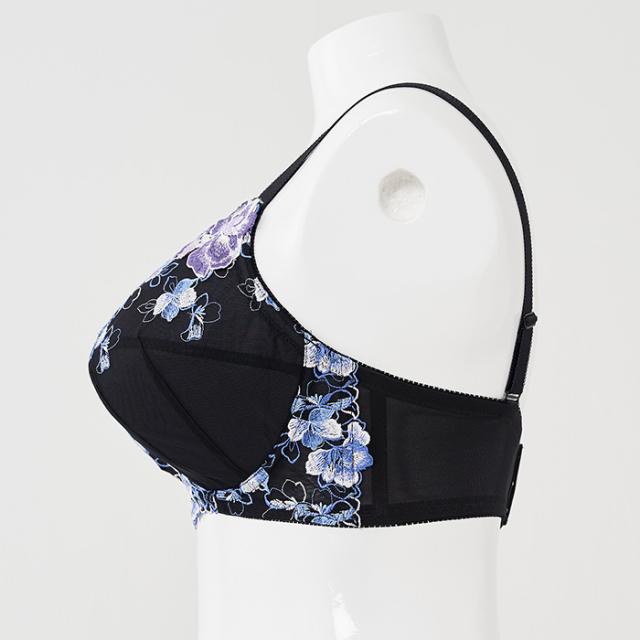 パンタシアブラ