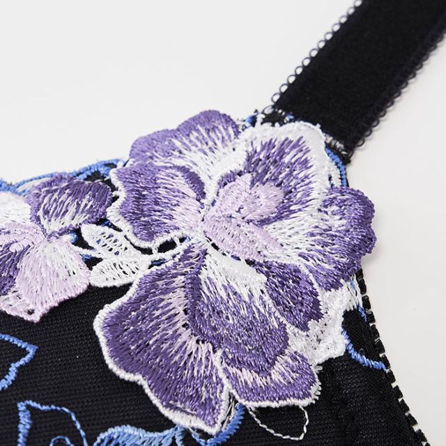 パンタシアブラ