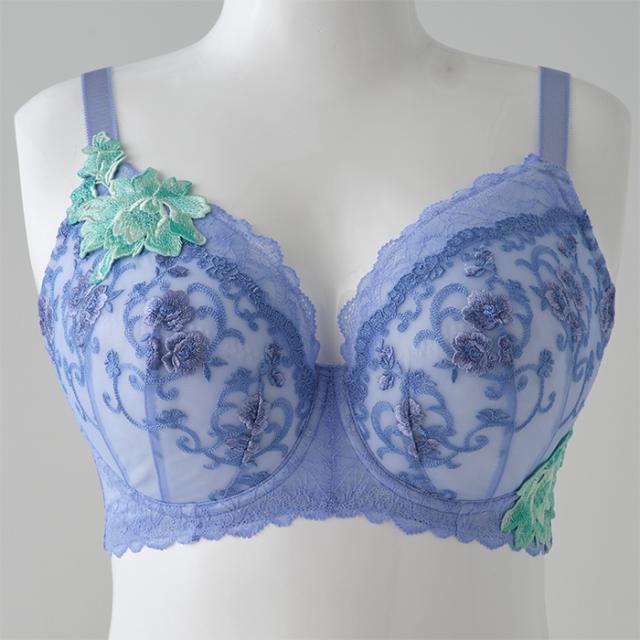 シータブラ(SP583)