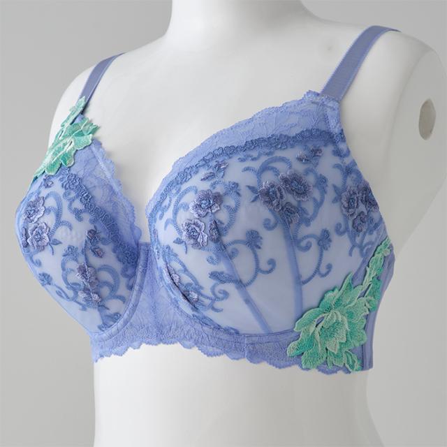 シータブラ(SP583)